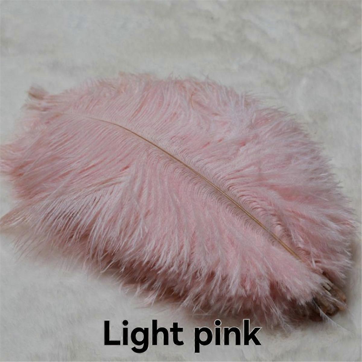 20-25cm Ostrich Feathers Stage Performances Feathers Light Pink