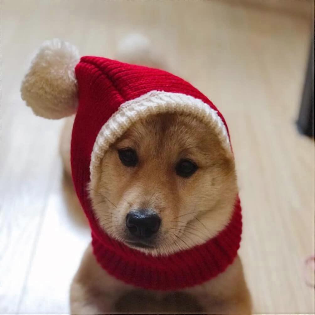 冬季狗保暖帽,有趣的猫狗圣诞帽可爱的宠物针织羊毛帽圣诞围巾宠物头饰,适用于狗小狗(红色,尺寸)
