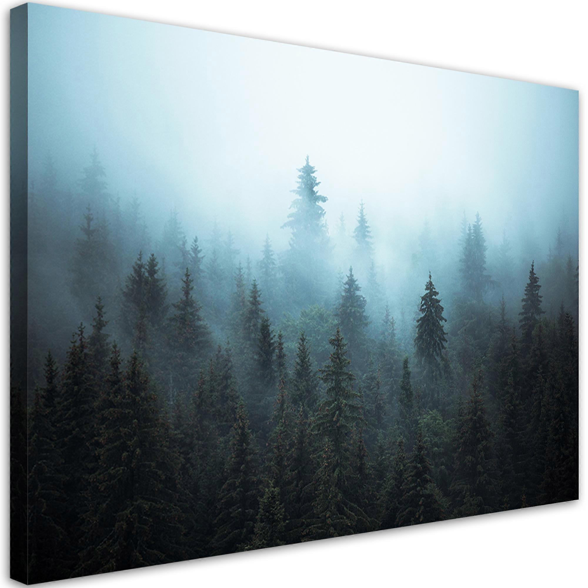 Impression sur toile, Forêt dans la brume - 100x70