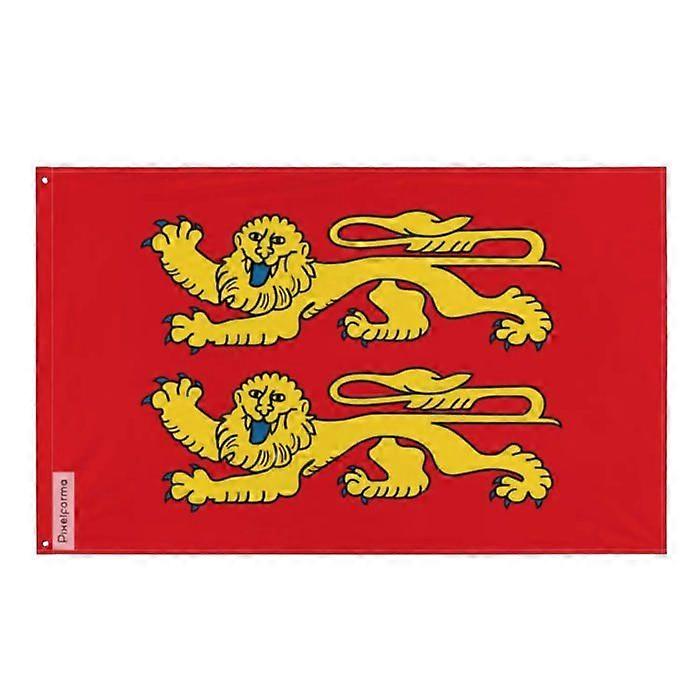 Norman flag with two leopards – 60 x 90 cm – Polyester – Metal eyelets – Durable