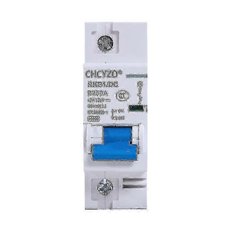 DC 1p strömbrytare Skyddsbrytare 12-125V Mini Automatiskt Skydd Elbil 80A / 100A / 125A / 200A / 250A Batteriskydd