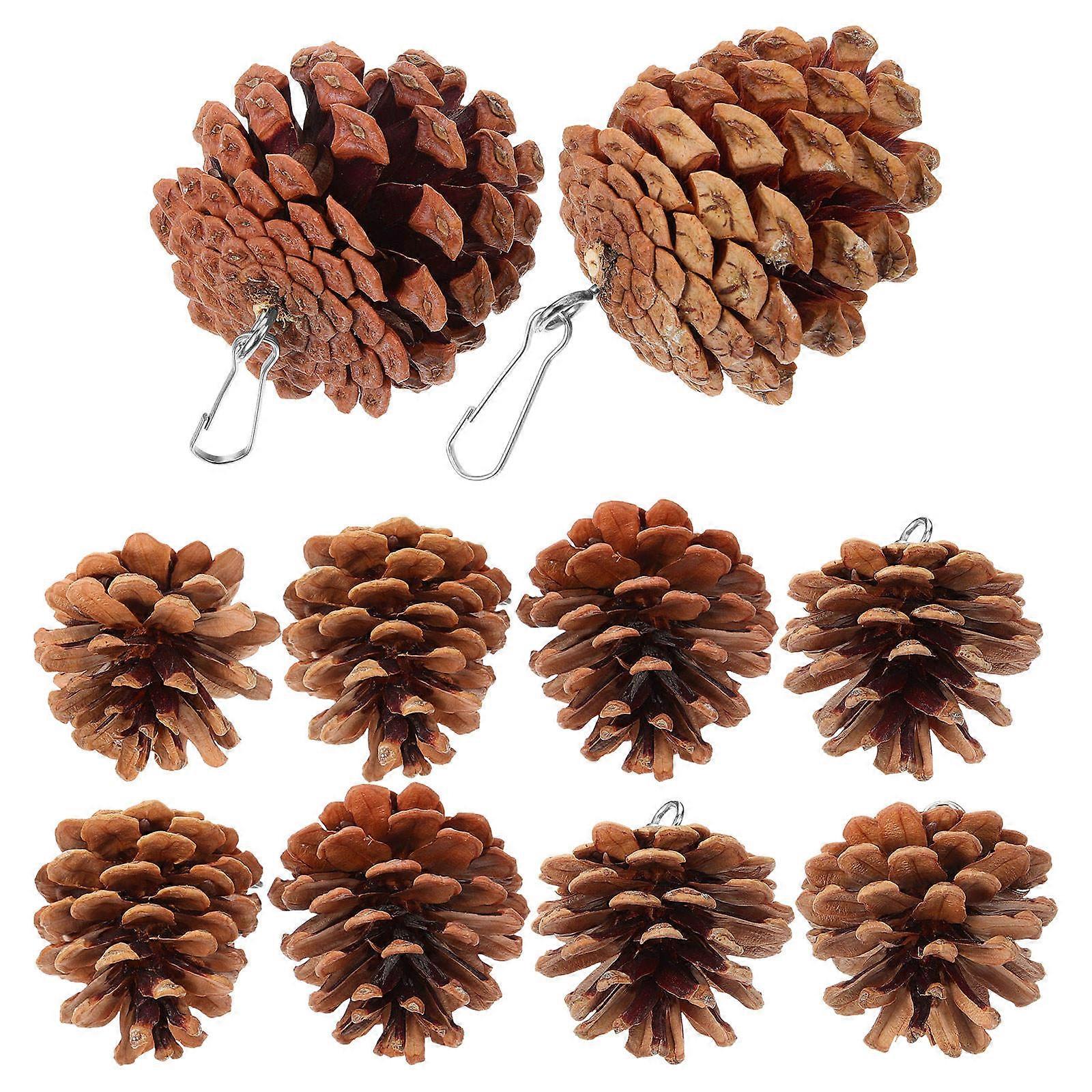 Bird Chewing Toy Pine Cone Foraging Toy Plaything 20Pcs