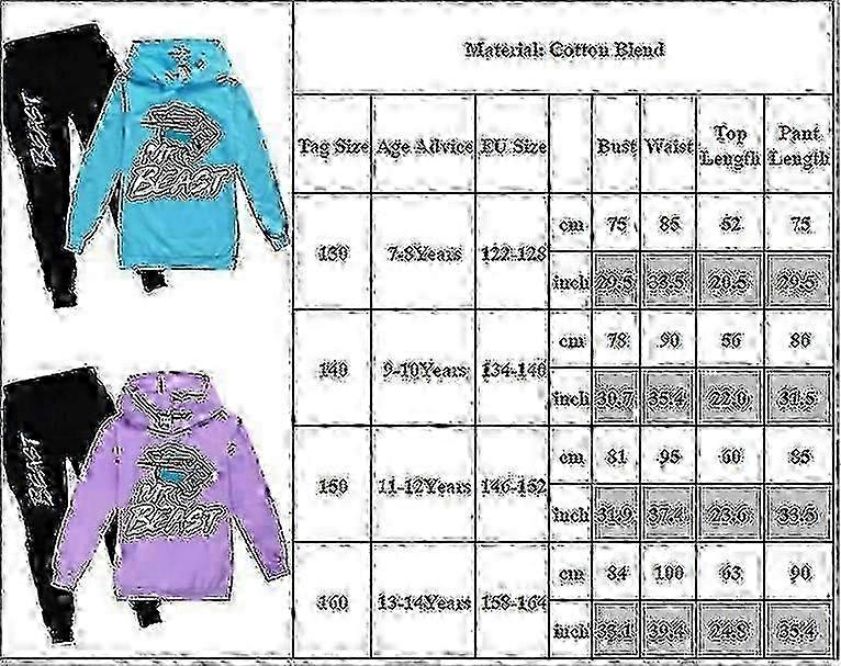 Mr Beast Lightning Cat Dzieci Chłopcy Dziewczęta Dres Pullover Bluza z kapturem Spodnie do joggingu Strój 2szt / zestaw