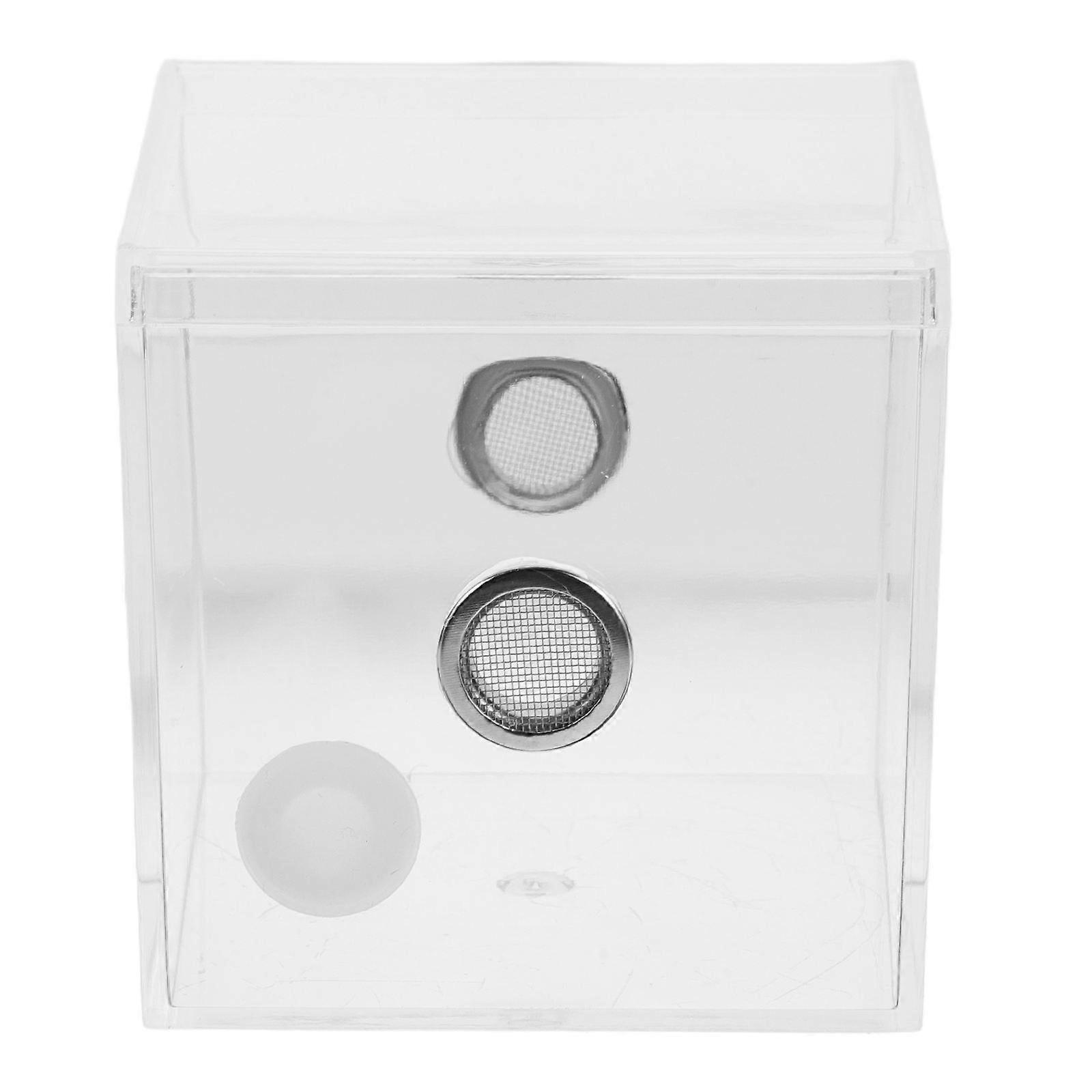 Bug Enclosure Cube Plastic Transparent for Nature Lovers High Transparency Observation 1Pcs