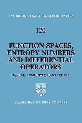 Function Spaces Entropy Numbers Differential Operators 120 Cambridge Tracts in Mathematics Series Number 120