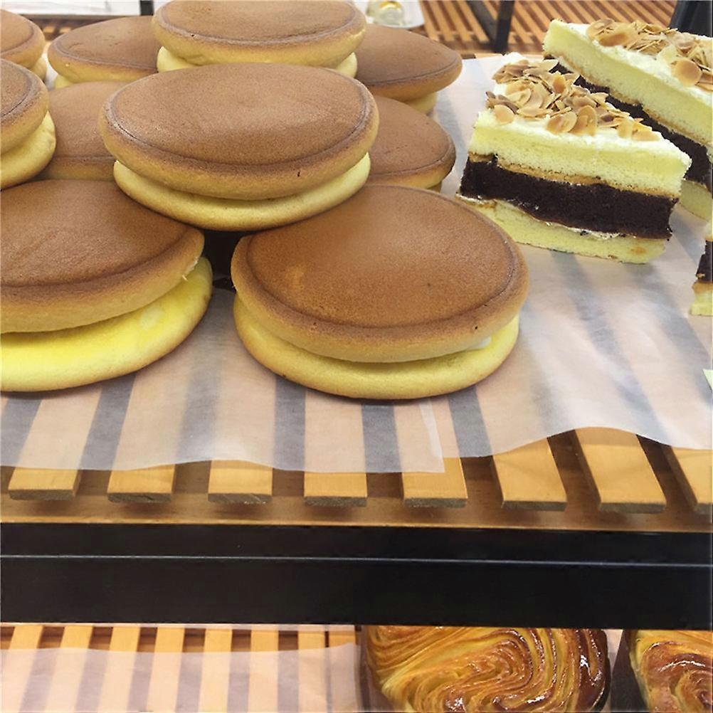 Baking Mat for Food Dehydrator with 500Pcs Non Stick Sheets