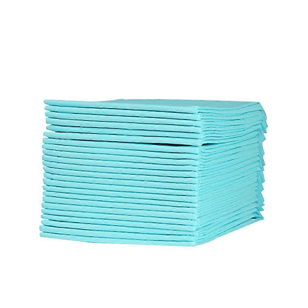 Pet Training Wee Pads Diapers for Cleaning 100Pcs Random
