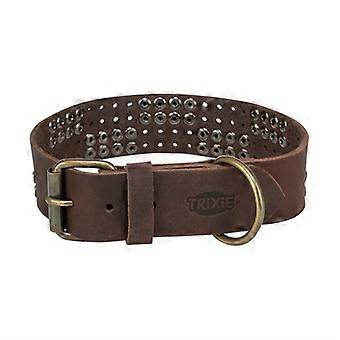 Trixie Dog Collar Vet Leash Dark Brown S-M 34-40cm