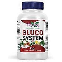 Gluco system glucose control 120 vegetable capsules