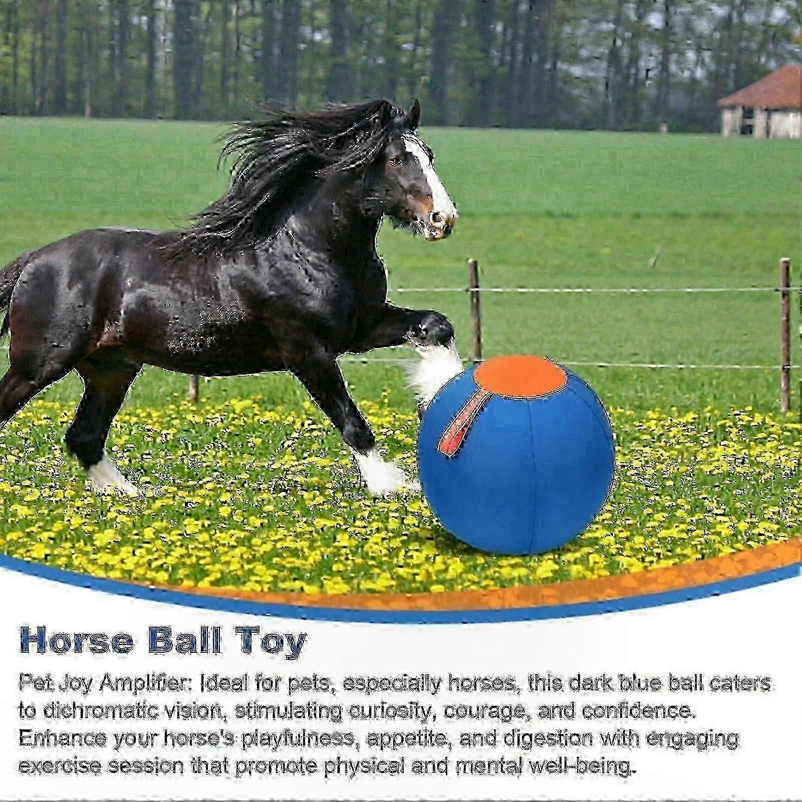 Outdoor-Safe Equine & Canine Training Ball