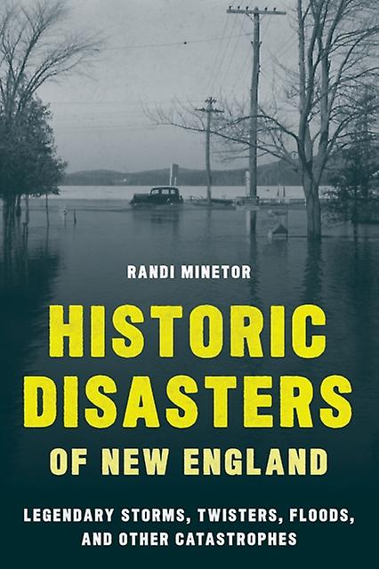 Historic Disasters Of New England by Randi Minetor Paperback Book
