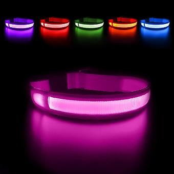 Waterproof Rechargeable Dog Light Up Collar, LED Safety Dog Collar with Adjustable Belt for Small/Medium/Large Dogs(Pink, M)