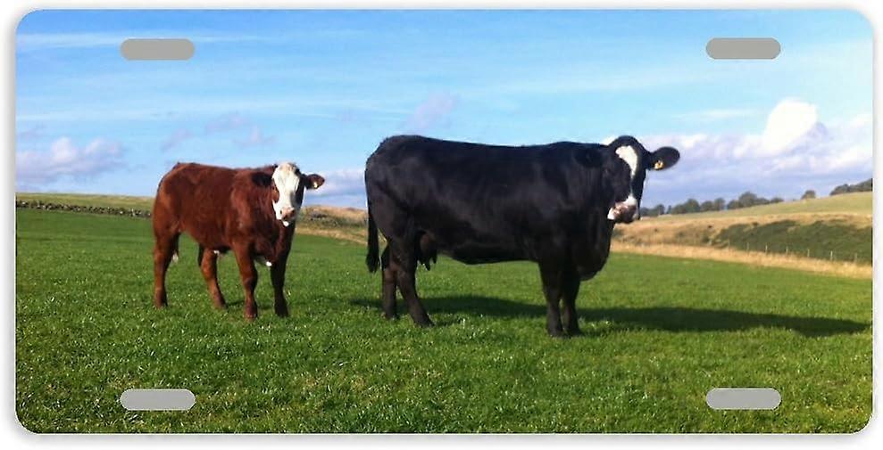 Placa de Licença de Carro de Metal de Vaca Antiga Simental Angus com 4 Furos 12 x 6 Polegadas