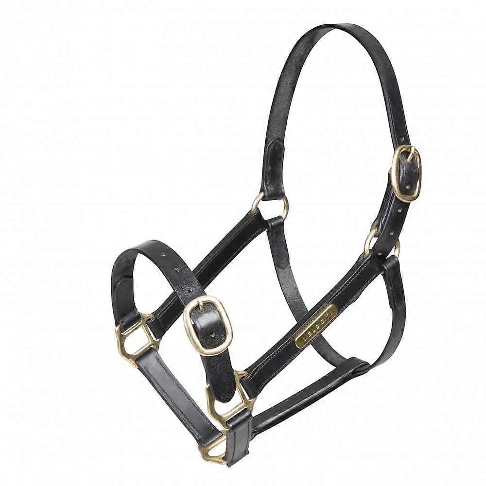 Shires Gara Fully Adjustable Leather Headcollar