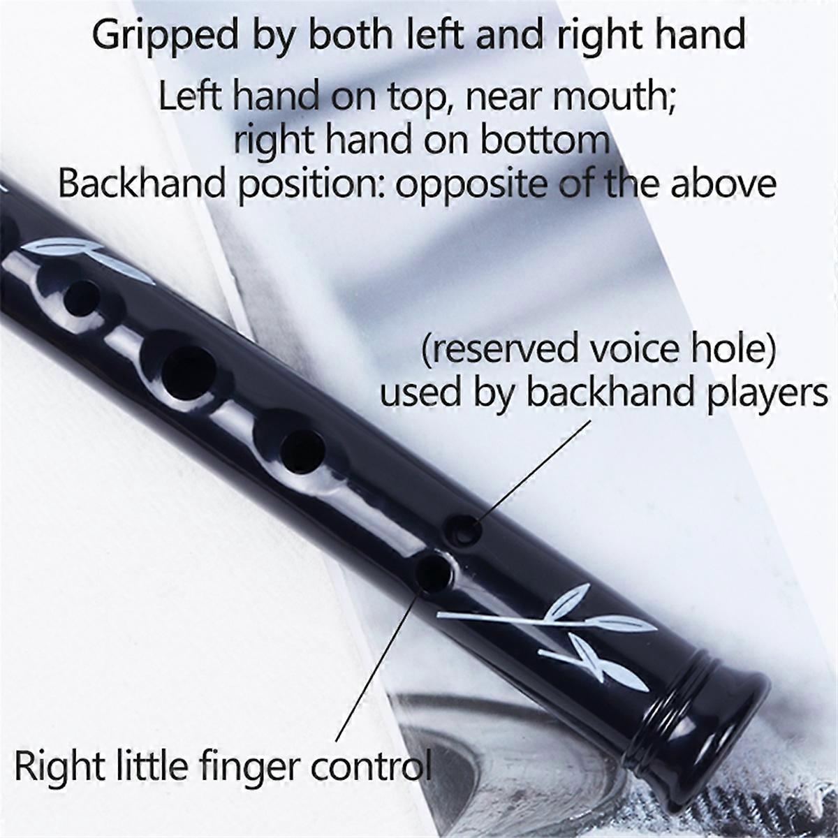 6 Holes Irish Tin Penny Whistle With Case Key Of C D Flute Whistle Instrument Woodwind For Music lover D key
