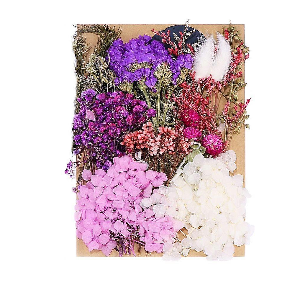 1 Packung getrocknete Blumen A5-21 21*15cm