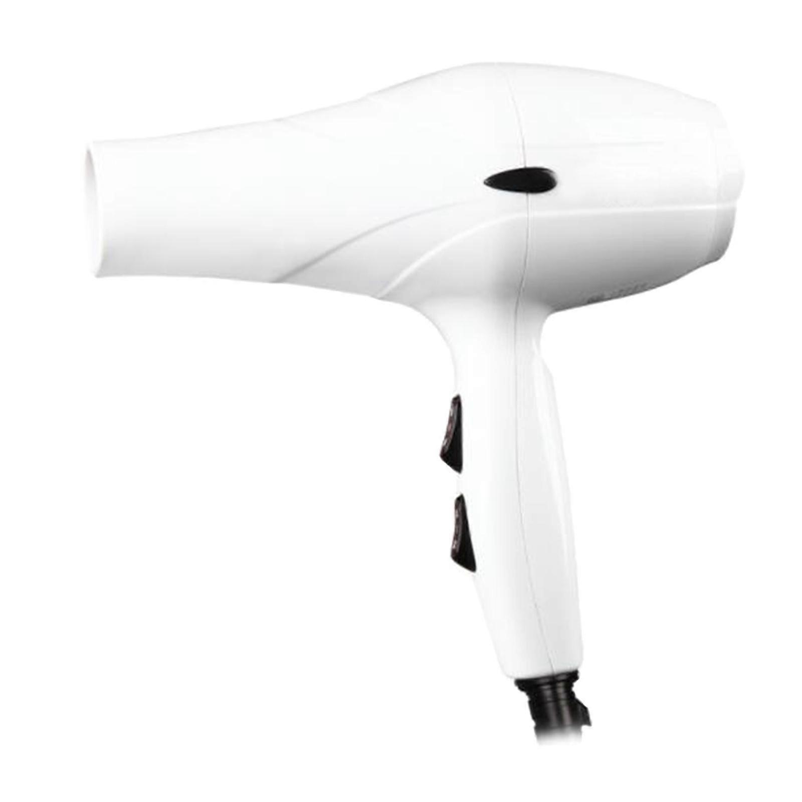 Profesyonel Pet Kurutucu Ayarlanabilir Köpek Kurutucu