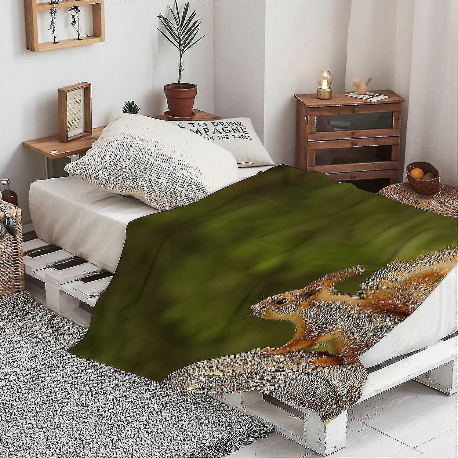 Tæppe varmt blødt egern siddende skovdyr dyreliv aften gnaver tæppe, vinter varmt sovesofa tæppe seng picnic tæppe tæppe blødt