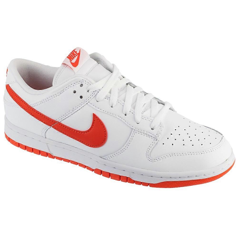 Shoes Nike Dunk Low Retro DV0831103