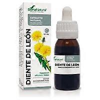 Natural Dandelion Extract 50 ml