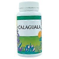 Naturlife Calaguala 90 tablets