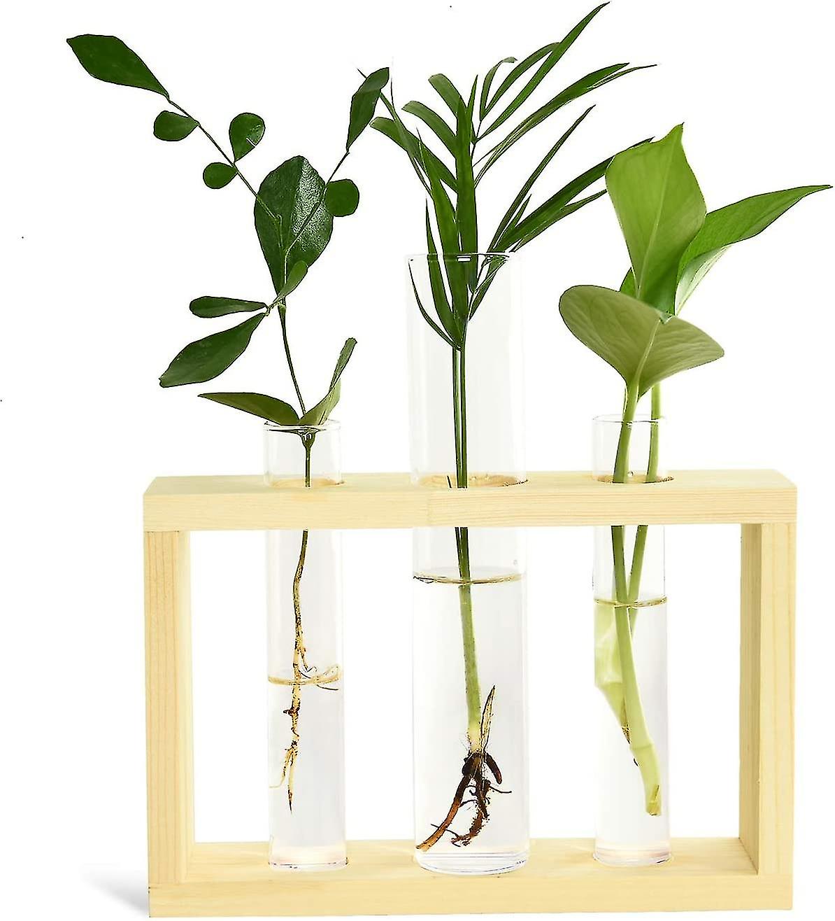 Test Tube Planter Plant Propagation Station Glass Terrarium Test Tube With Wood Stand For Propagating Hyd