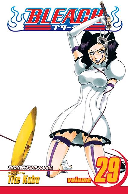 Bleach Vol. 29 - Tite Kubo