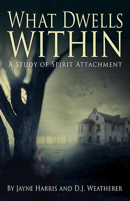 What Dwells Within A Study Of Spirit Attachment by Dan Weatherer Paperback Book