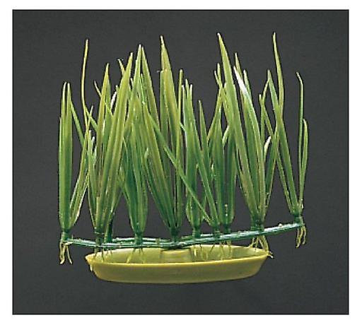 Marina AQUASCAPER FOREGROUND MICRO SAGITTARIA 5 cm