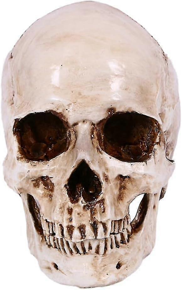 Kafatası Dekoru Cadılar Bayramı 1:1 Model - Perili Evler, Partiler ve Festivaller için İskelet Kafa Desteği