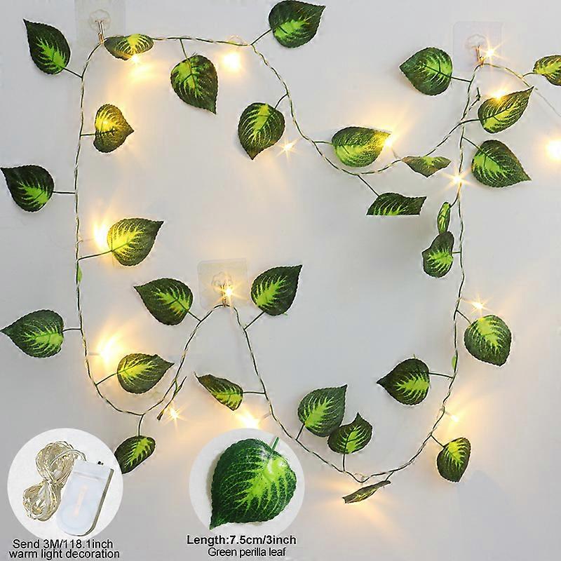 goldfruchtpalme pflanze Goldfruchtpalme | kaufen main image 1
