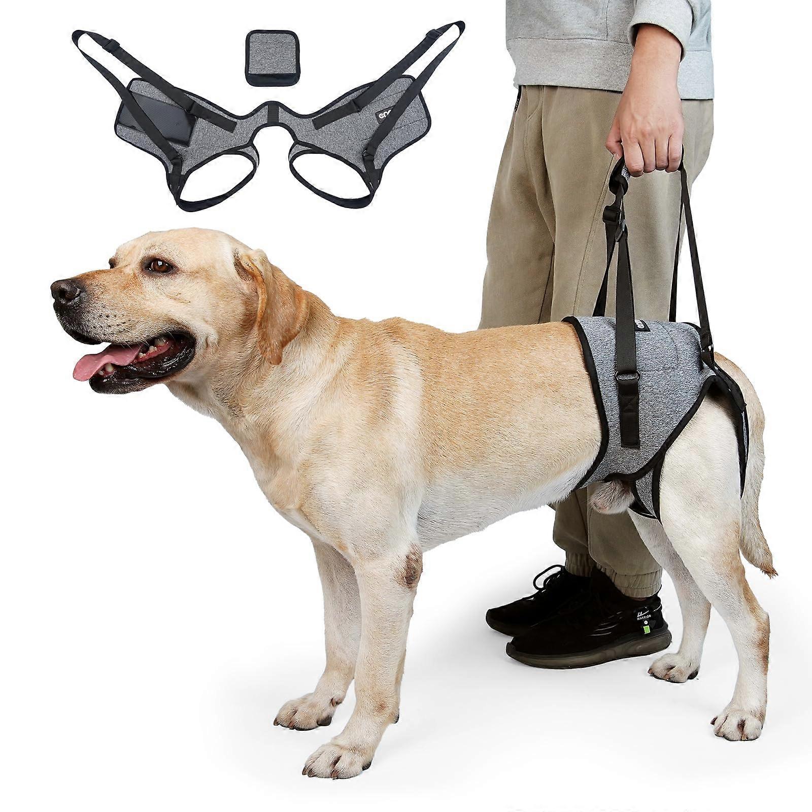 Adjustable Comfy Dog Lift Harness for Elderly Dogs
