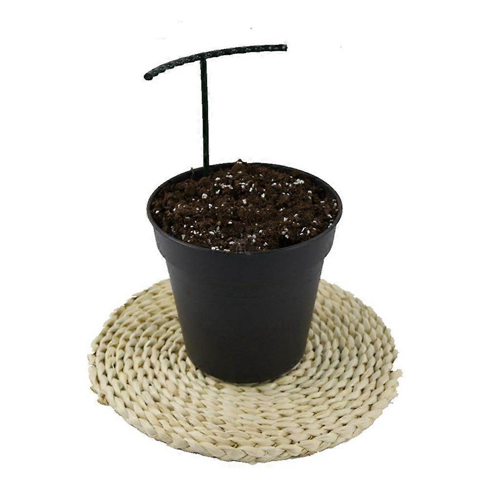 Gardening Supplies U Shaped Bracket Plant Support Vertical Climbing Assistance Vegetable Stand 15X14cm