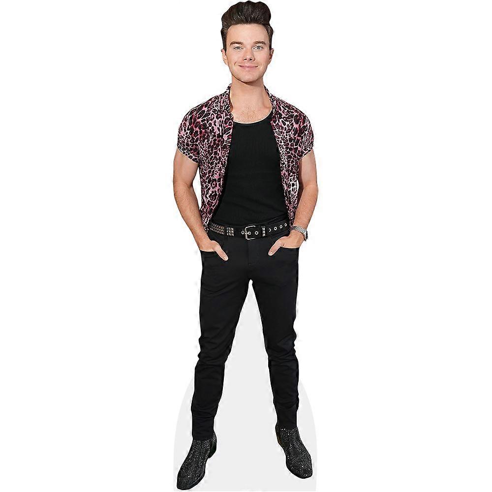 Chris Colfer (Pink Shirt) Cardboard Cutout (lifesize OR mini size). Standee. Stand Up.