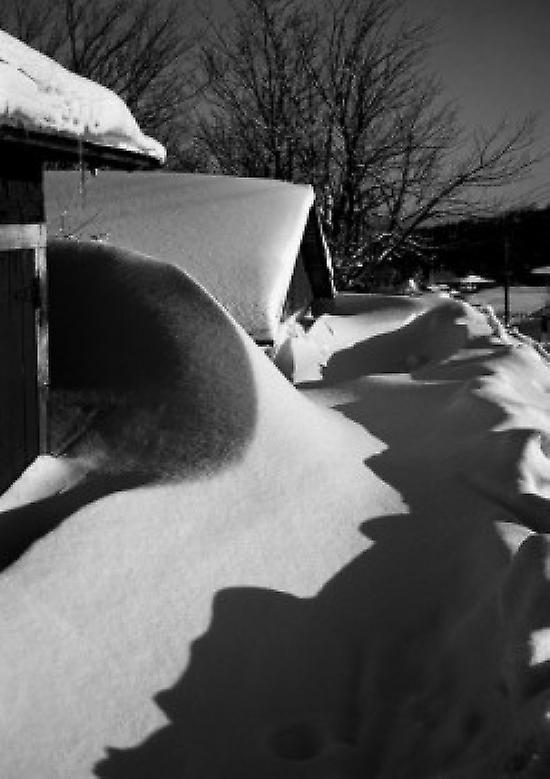 Snow shadows Poster