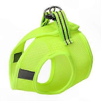 Cat Harness with Leash for Walking and Training