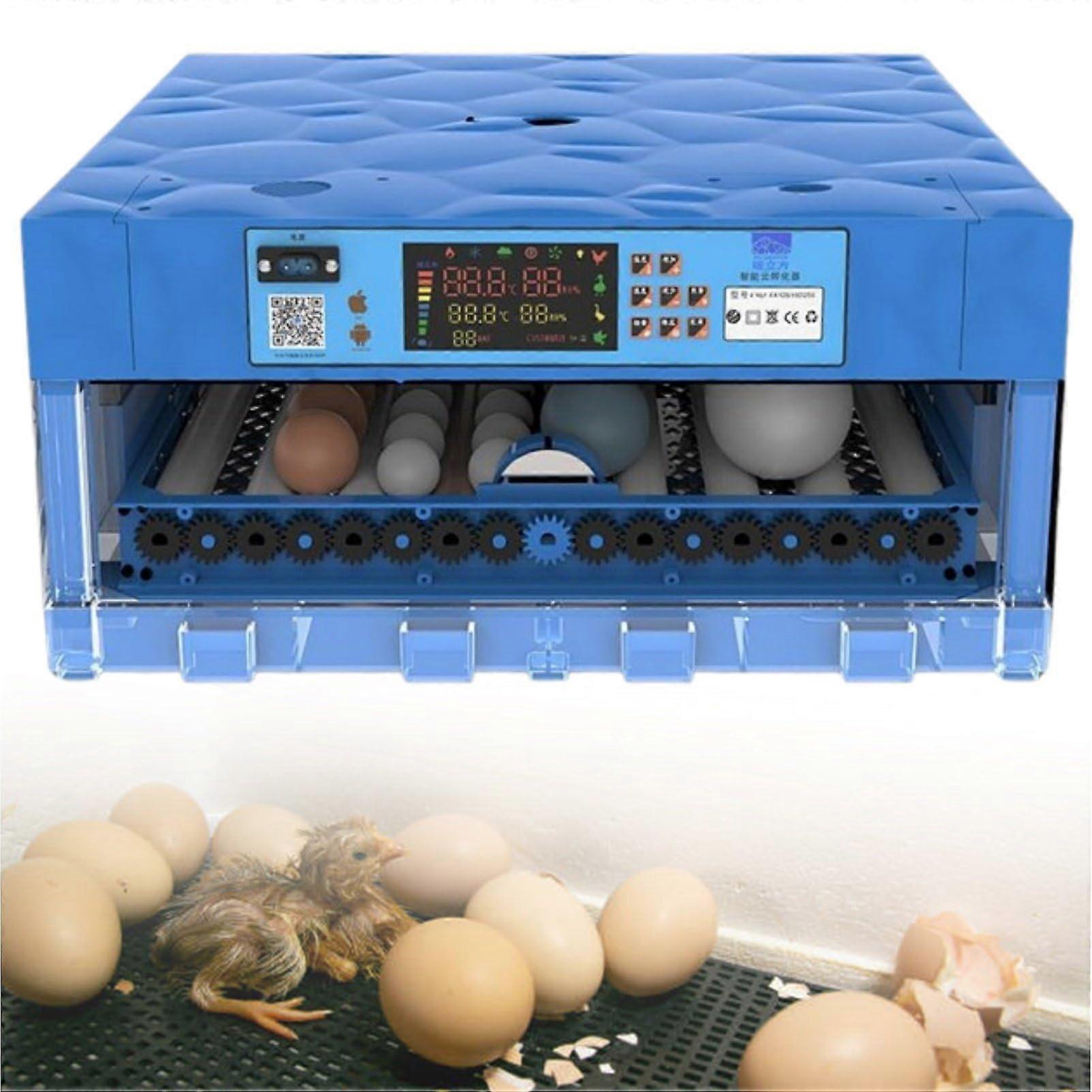 64 Egg Automatic Incubator with Temperature Control, Dual Power, Hatching for Chicken Quail Goose