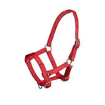 Shires Arma Foal Nylon Headcollar