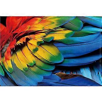 Feather Jigsaw Puzzles for Adults 2000 Piece - No Letters on Back - Not for Beginners