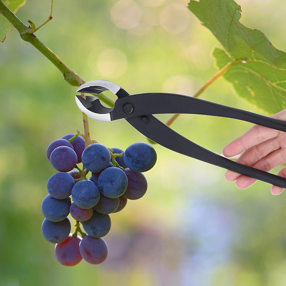 Garten Baum Ast Topf Cutter Astschere Bonsai Trimming Modeling Tools 275mm