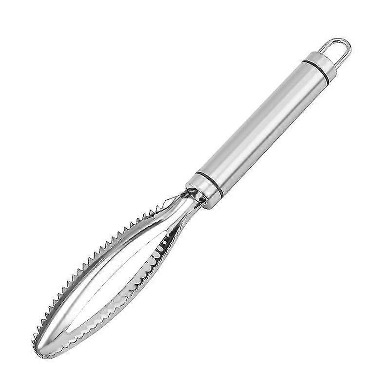 Kitchen Accessories Stainless Steel Scales Scrape