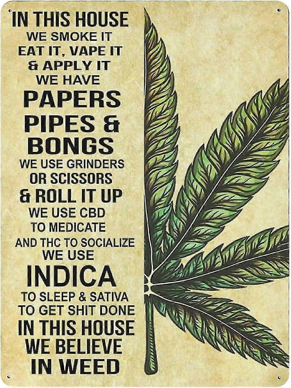 Havia uma garota que realmente amava guaxinins Placa de lata Decoração de metal 8x12 polegadas OU 12x16 polegadas Modo 1615