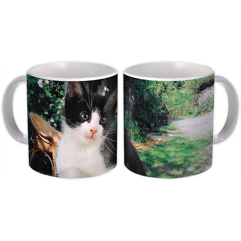 Gift Mug: Cat Animal