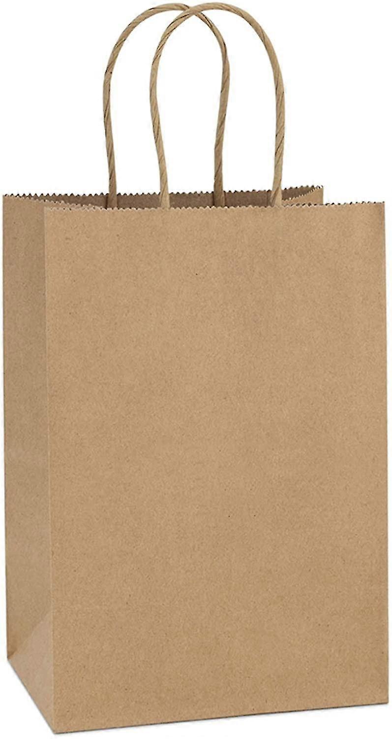 Kraft Paper Bags 10pcs 5.25x3.75x8 Inches Small Paper Gift Bags