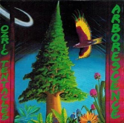 Arborescence CD