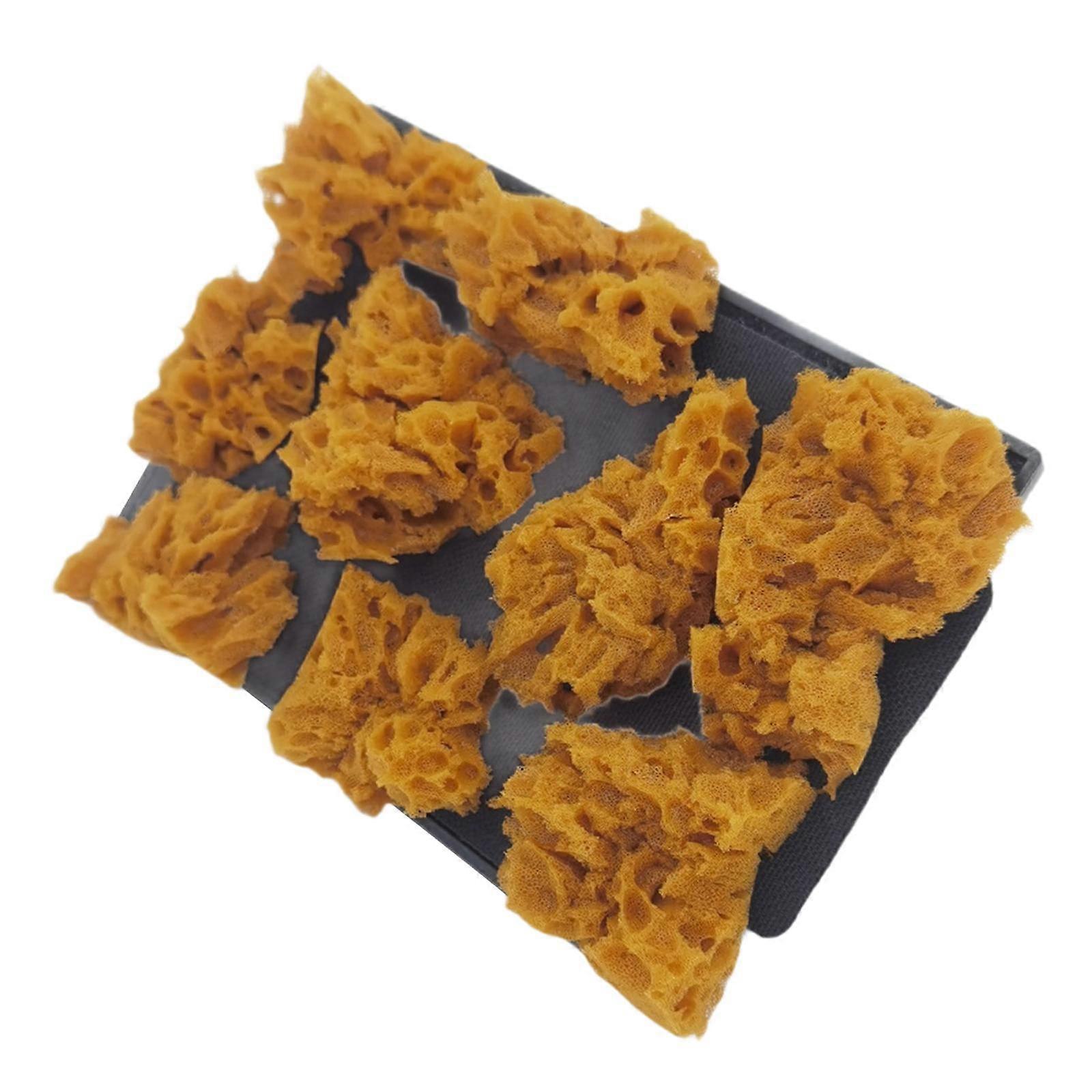 Artificial Sponge Texture Brush Paint Texture Pattern Tool Brush Comfortable