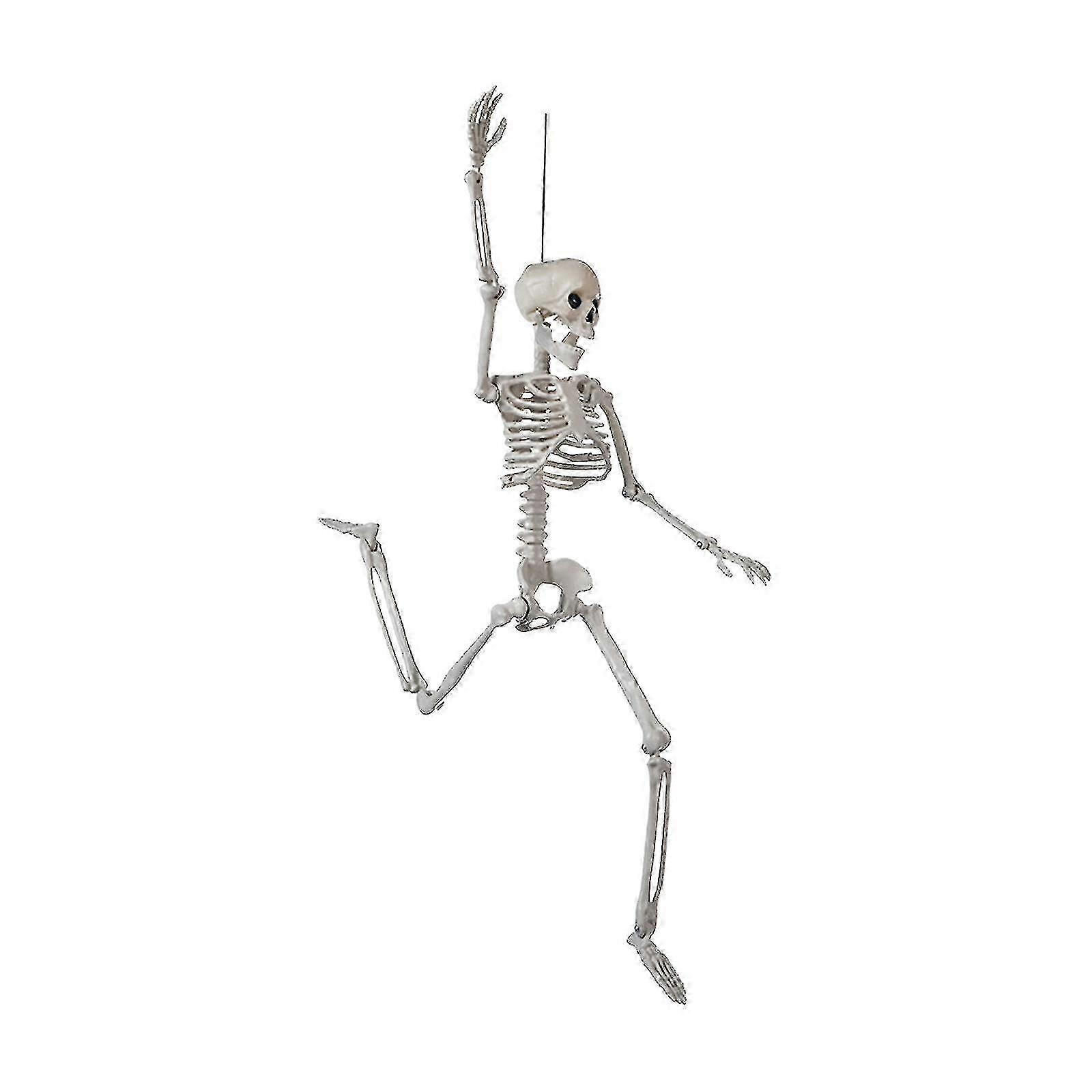 Halloween Skeleton Decorations