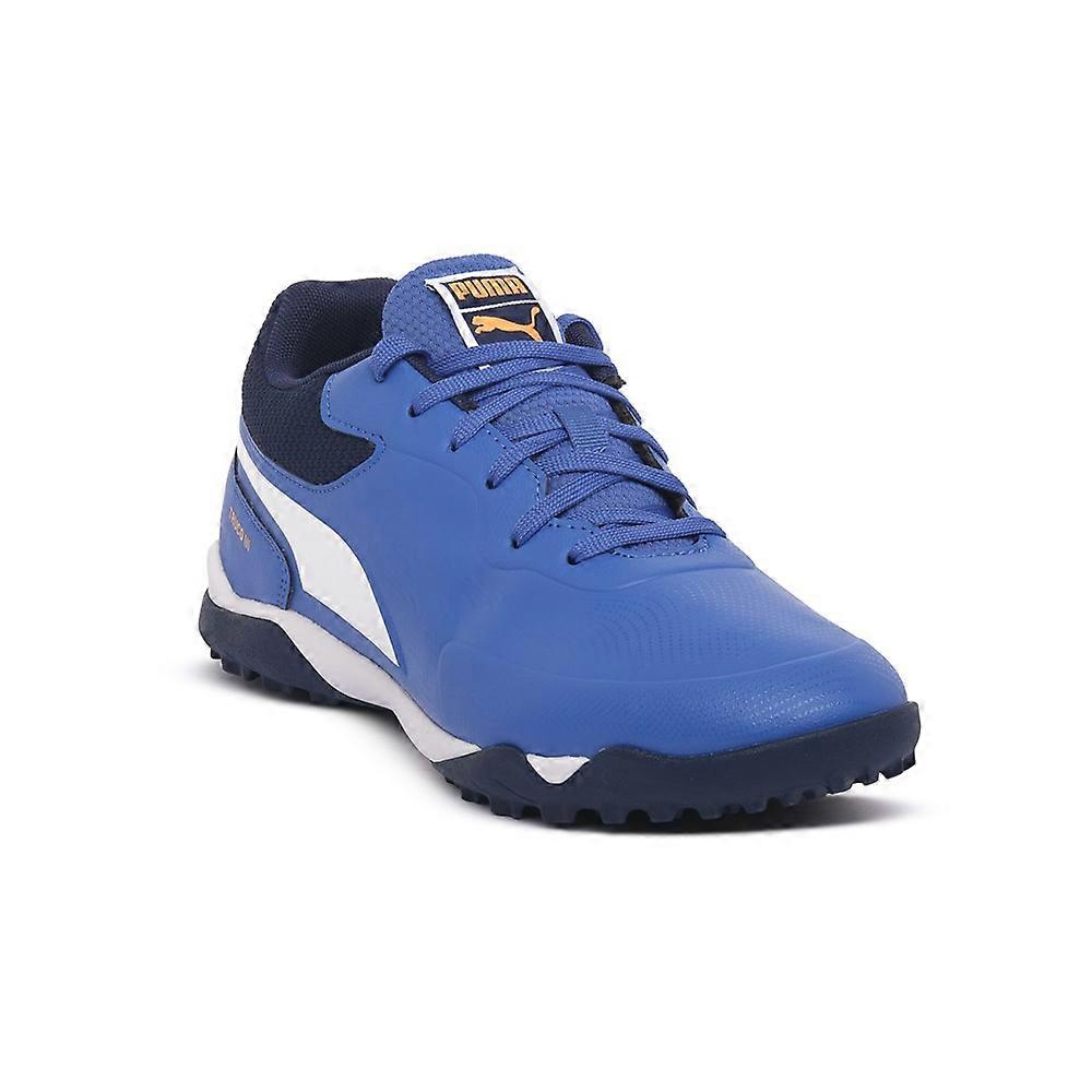 Shoes Puma 10857301