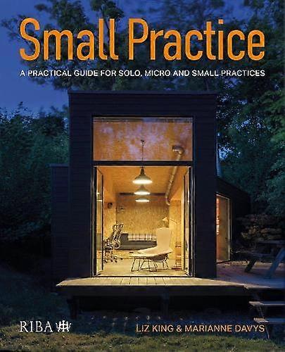 Small Practice by Marianne Davys Paperback