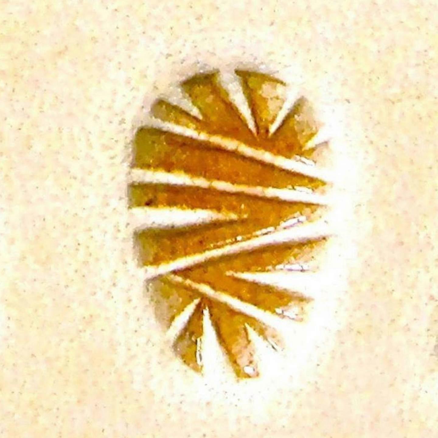 Craft Sha Leathercraft Tool Patterned Shader Leatherworking Stamp 8mmx11mm E283